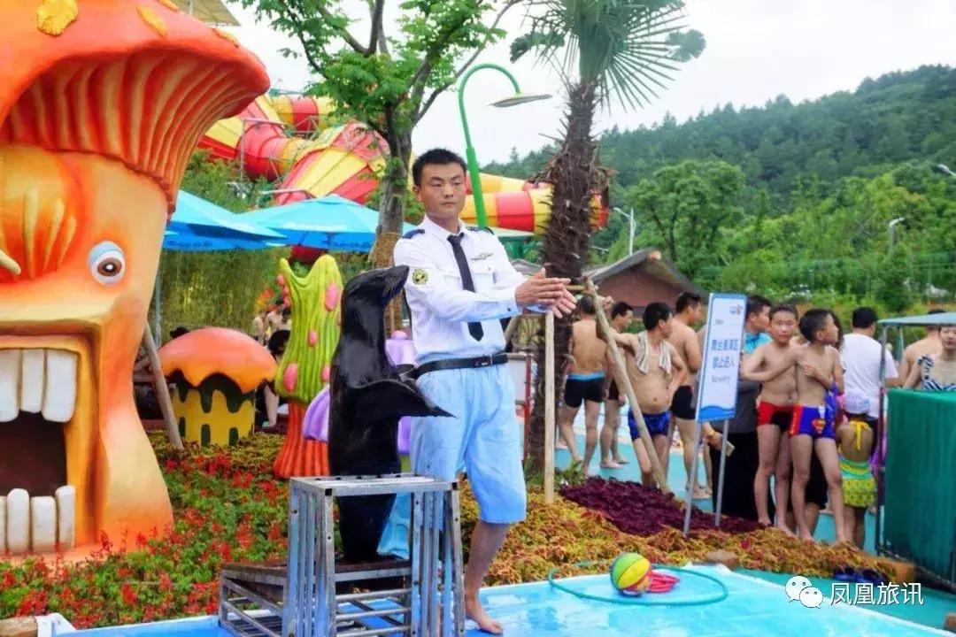 夏季火爆的不止是世界杯，还有森林水世界！