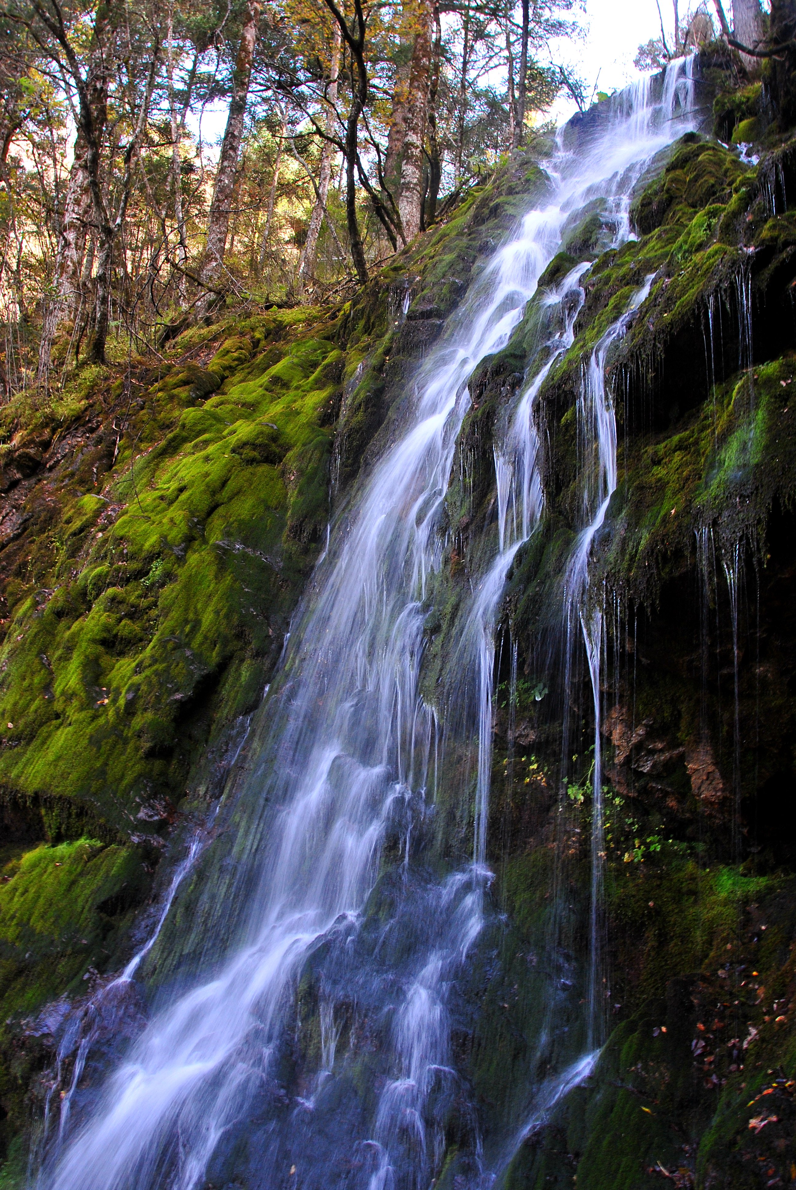 武汉周边避暑景点推荐,武汉夏天避暑旅游攻略