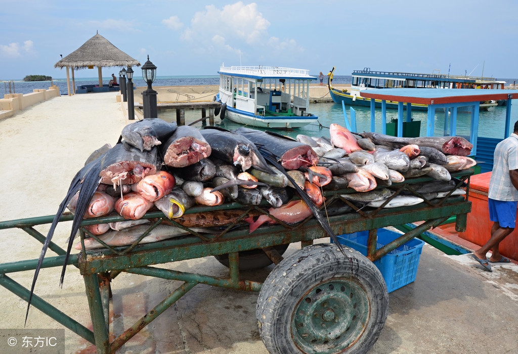 一个很小众的国家风景,全球最小旅游国家