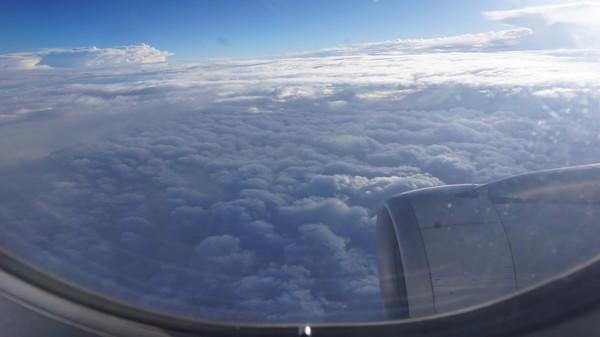 一个人的旅行由风决定,一个人的旅行头像