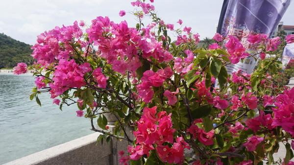 一个人的旅行由风决定,一个人的旅行头像