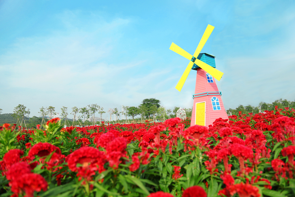 暑假带孩子逛公园,带孩子玩跳楼