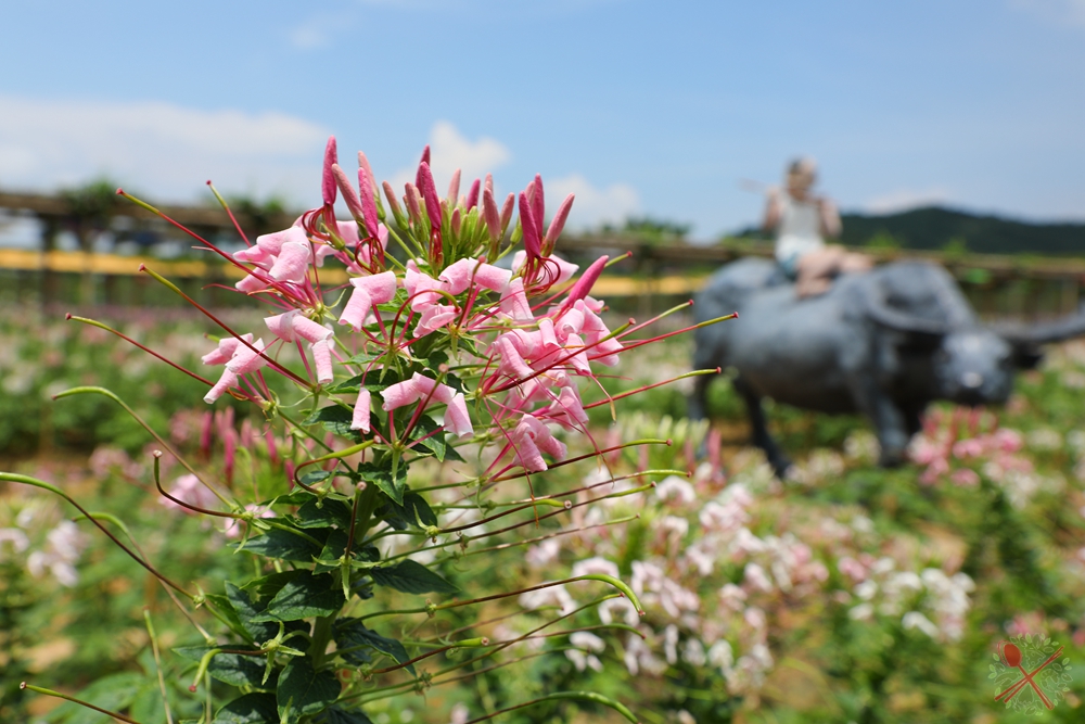 暑假带孩子逛公园,带孩子玩跳楼