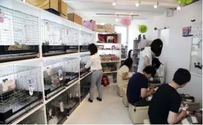 10个真实创业故事,100个创业的故事