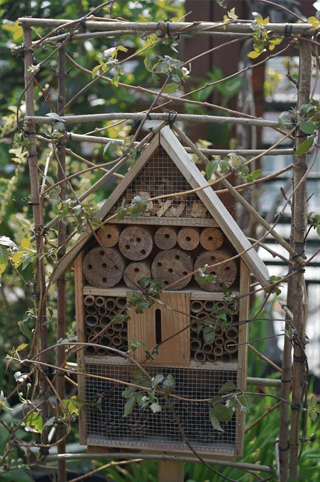 39岁，她不安分得很漂亮天台折腾两年，随后发出的照片，惊艳了所有人