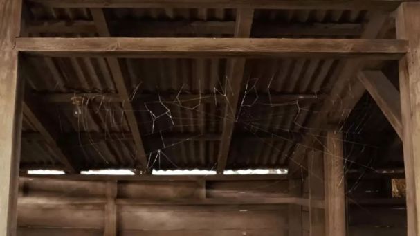 暑假一定要给孩子看这6部电影,暑假必须给孩子看的八个电视