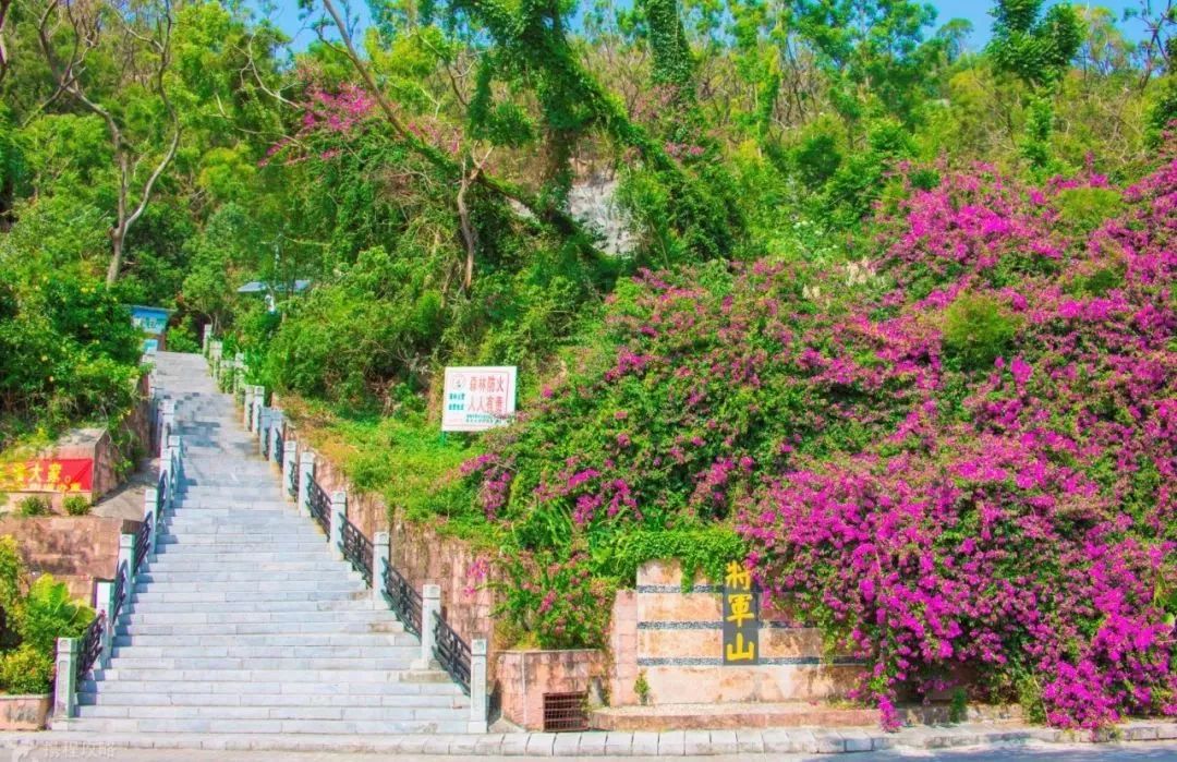 珠海一日游攻略低消费,南昌0元生活指南