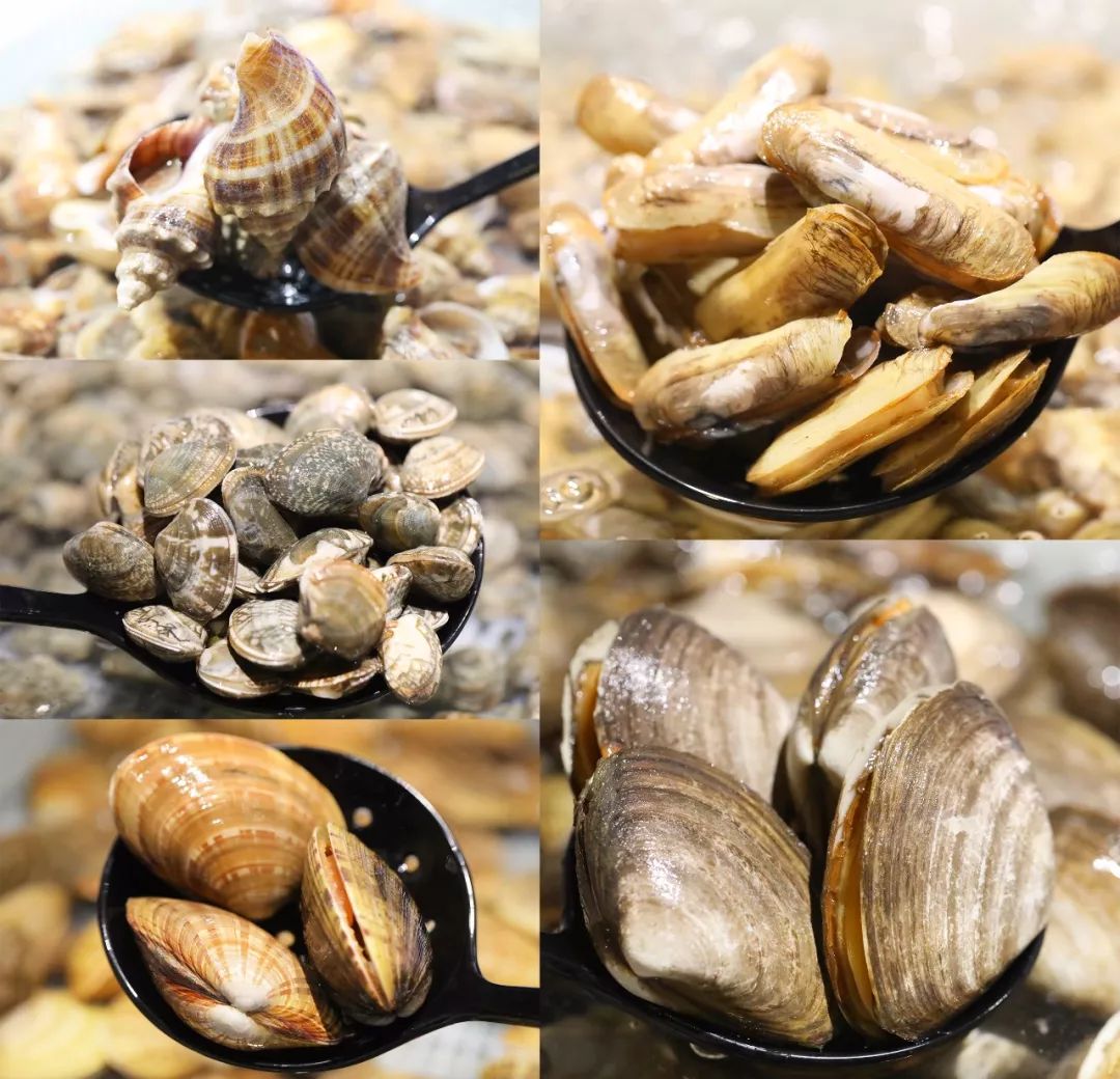 各种海鲜不限量,50种不限量海鲜