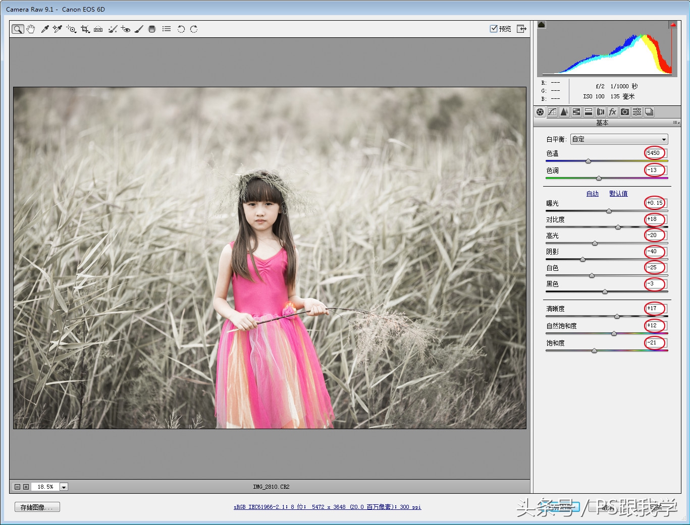 camera照片调色教程,如何用PS2018调整照片色彩