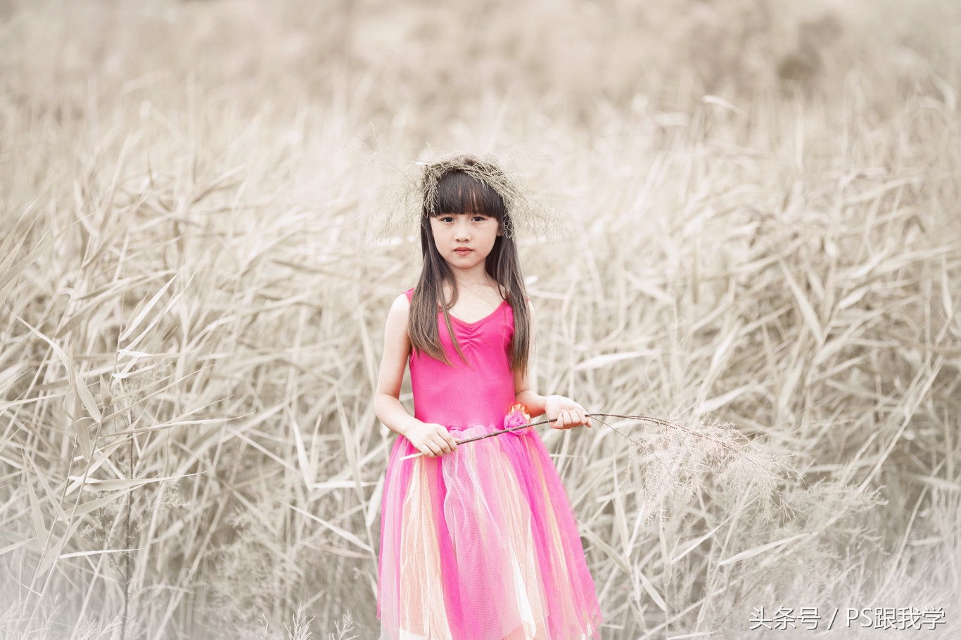 camera照片调色教程,如何用PS2018调整照片色彩