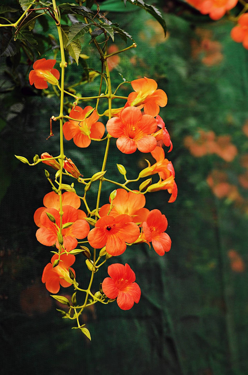 如果小人避不开，请务必做到这3点，你将受益很多！