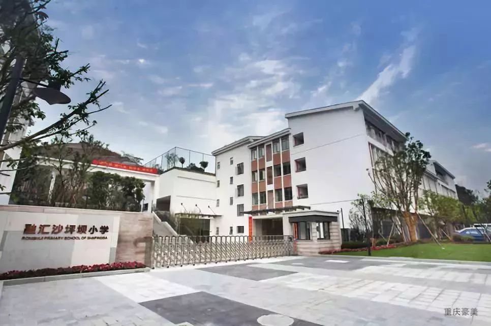 2022年重庆小学划片区,重庆主城近300所小学划片范围