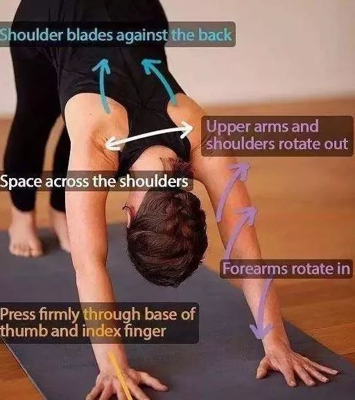 大臂外旋小臂内旋，到底怎么旋？