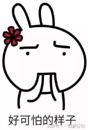 去香港什么情况下会被罚款,入境香港被抓罚款