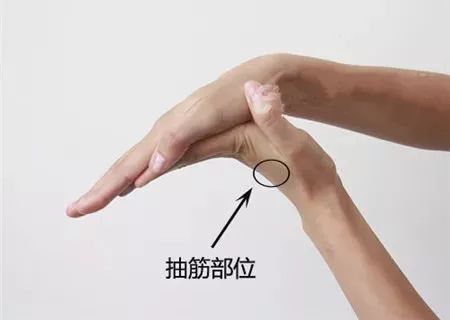 睡得正香脚抽筋了,为什么睡觉抽筋频繁