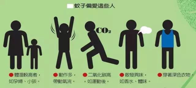 夏日防蚊必备三件套,好物推荐防蚊必备