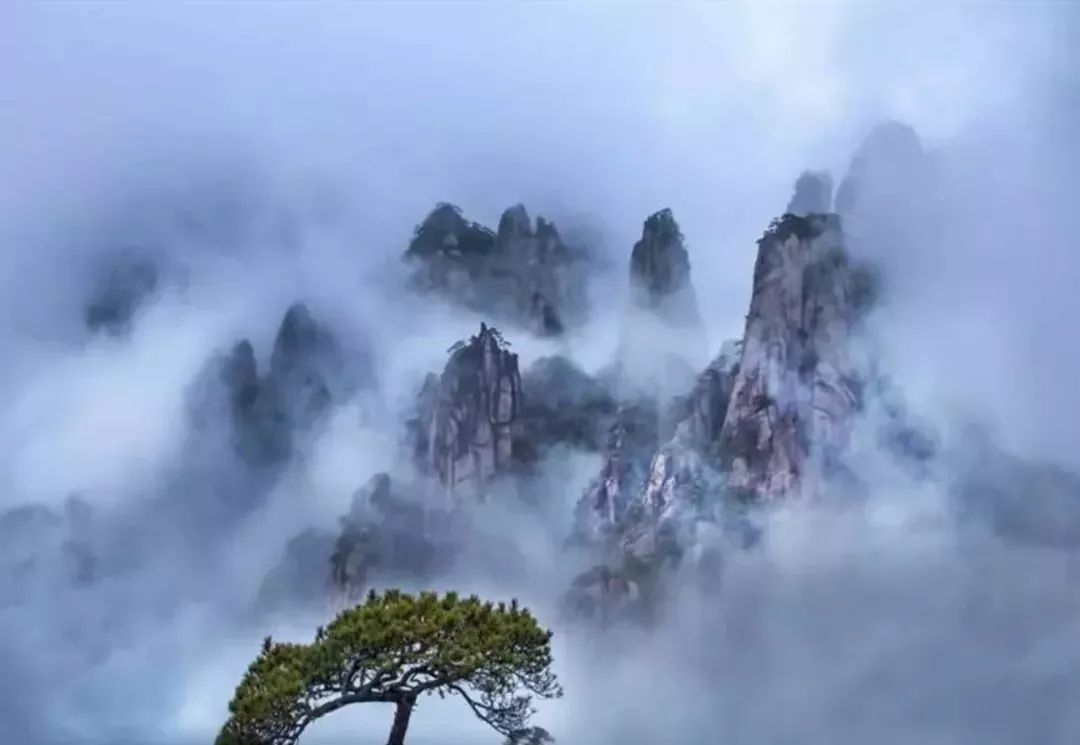 三清一绝“巨蟒出山”的文化底蕴与民族尊严