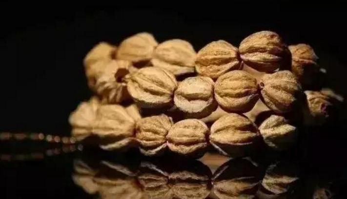 菩提子手串各种纹路图片,各类型的菩提子手串图片