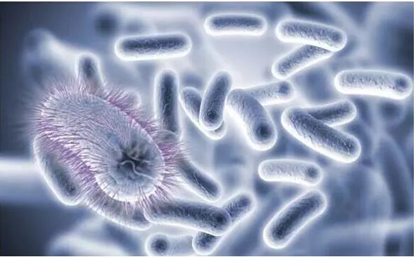 日本妇科病,日本女人妇科病少的原因