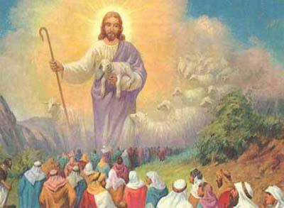 足球背后的真相,足球真相大揭秘