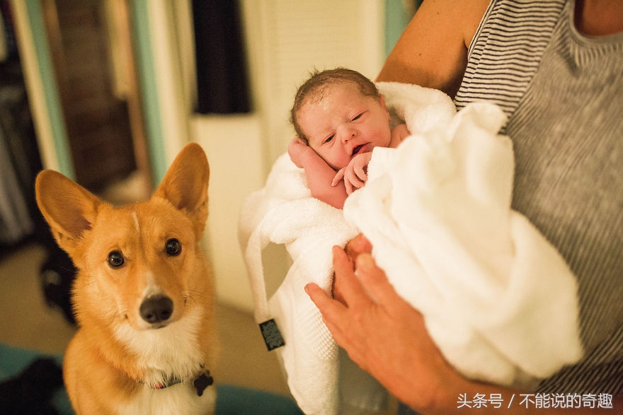 可能你不会知道你家里的这些“家人”是如此的深爱着自己