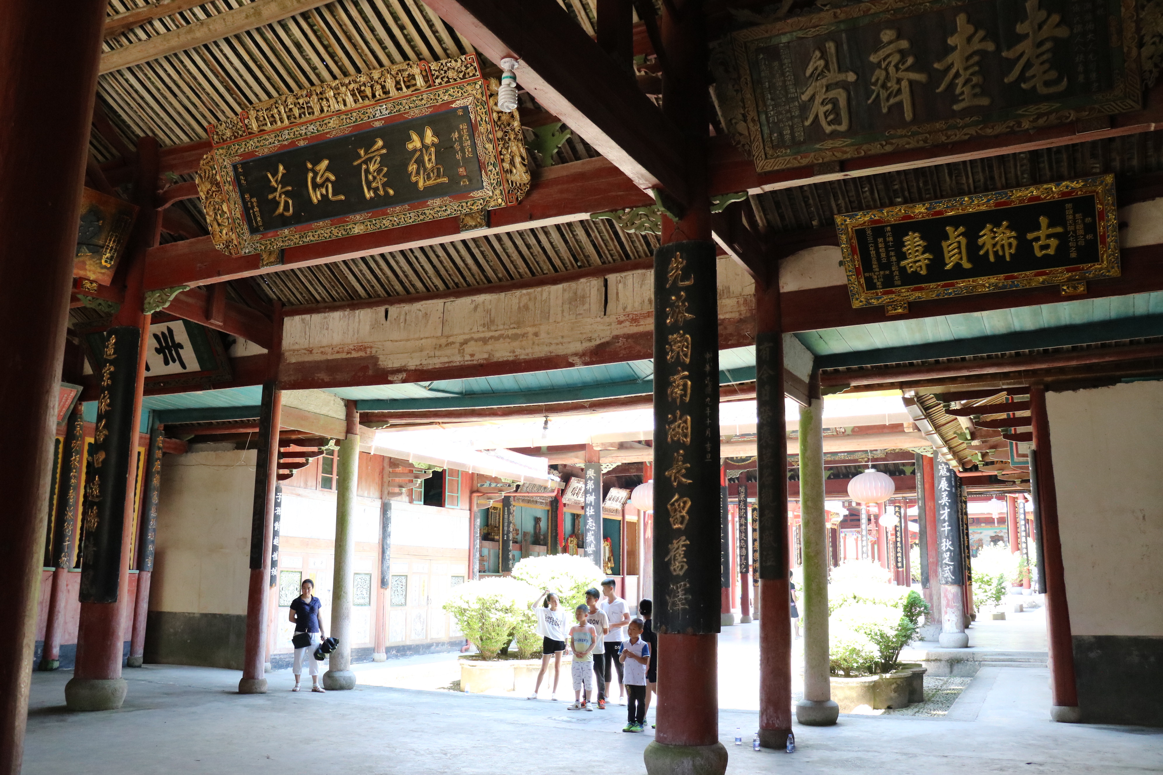 福建闽东特色乡村振兴之路图片,走出一条闽东特色的乡村振兴之路