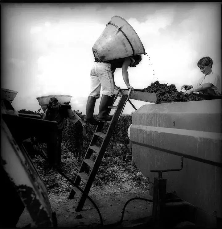 法国如果卫冕会怎样,法国夺冠是不是拿回大力神杯