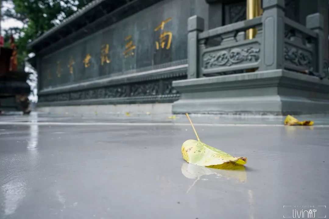 克罗地亚南宁观音寺,克罗地亚队南宁拜菩萨