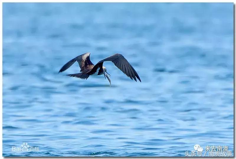 这座小岛究竟隐藏了多少秘密,一座鲜为人知的隐藏小岛