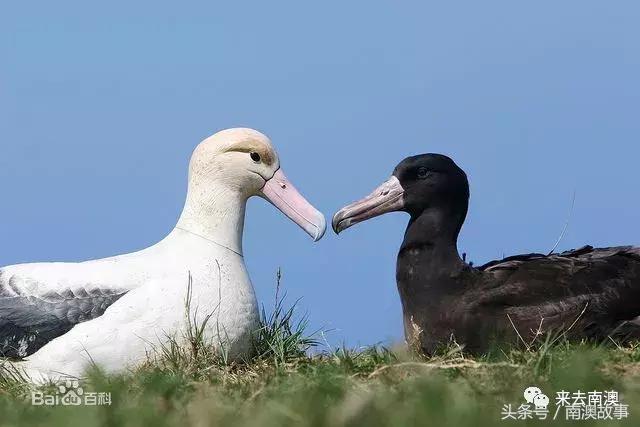 这座小岛究竟隐藏了多少秘密,一座鲜为人知的隐藏小岛