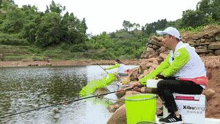 用玉米钓鱼白条闹窝怎么办,小白条闹窝的最有效的方法