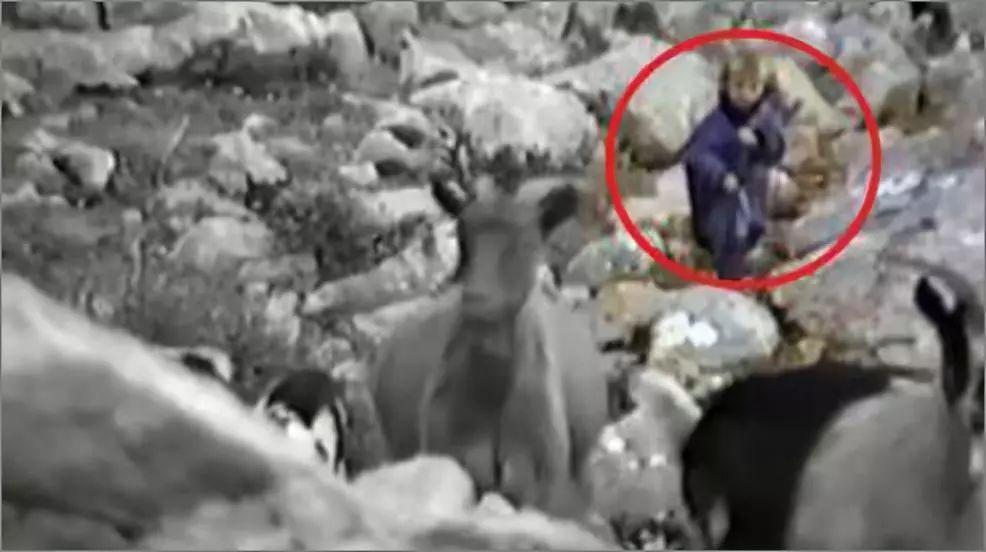 杀屠,克罗地亚队史最大惨案