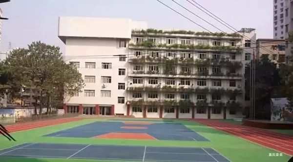 重庆双湖小学对口中学是哪个,2021重庆小学划片区查询