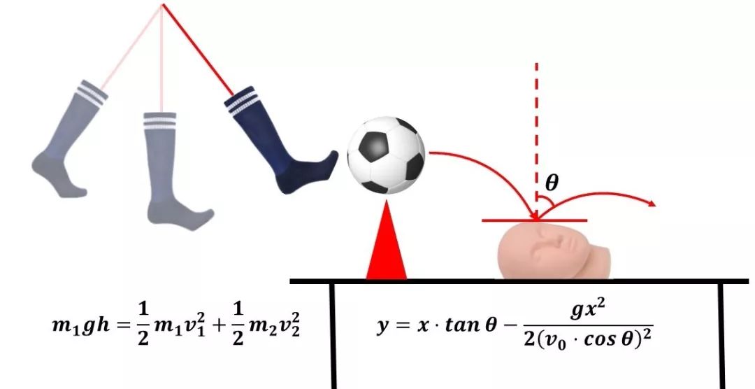 法国队夺冠经历,法国队夺冠反应
