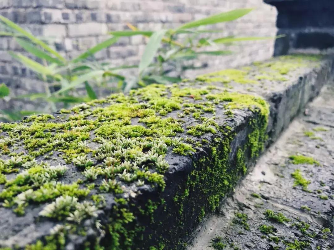 贵阳文凡状元别院有多少间房间,贵阳青岩文凡花间堂状元别院门票