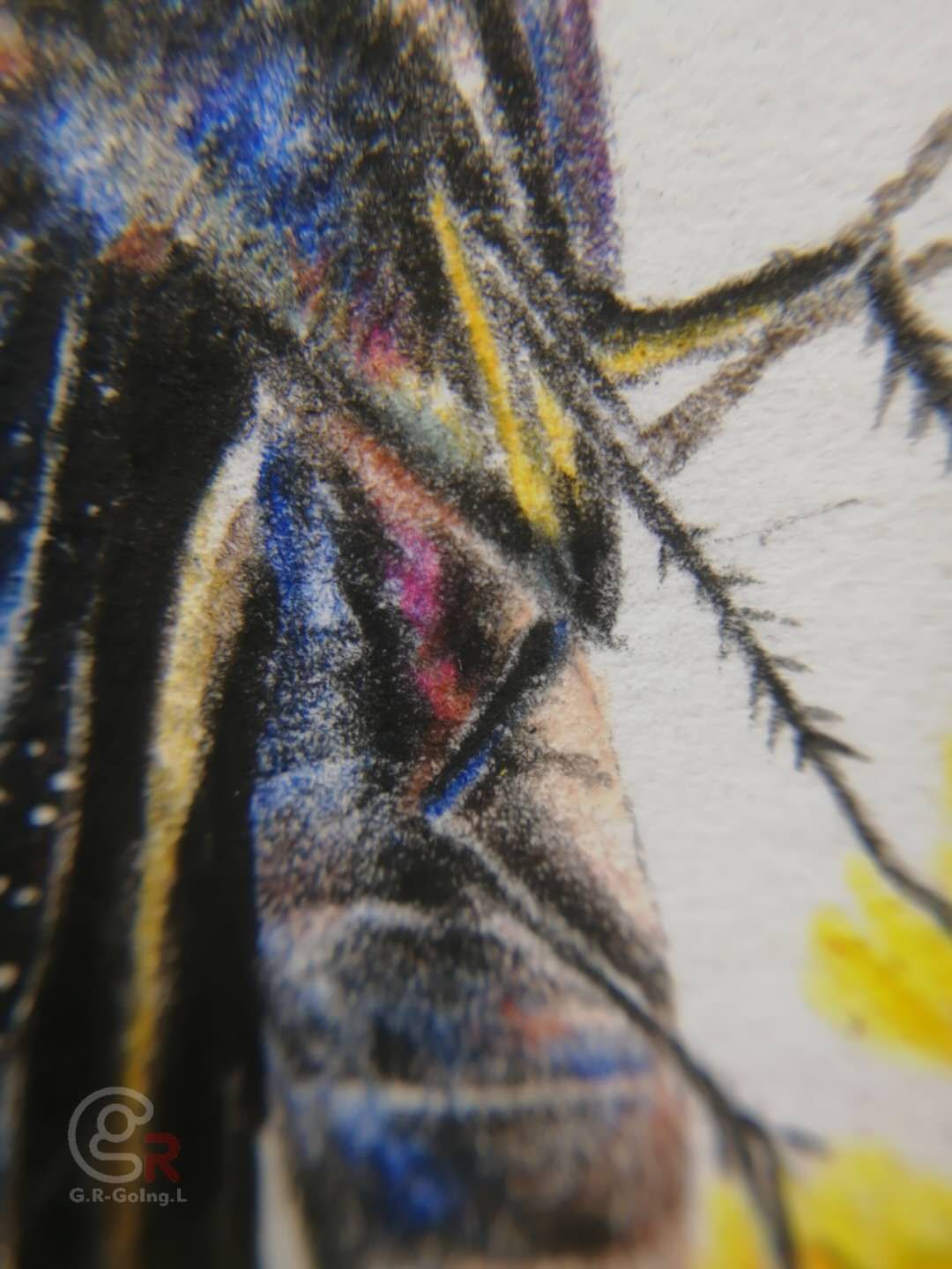 幸福原创画吧画友（7月17日）习作分享