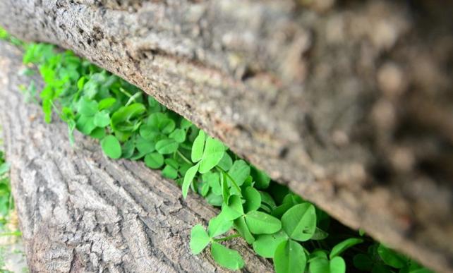 夹缝里的生意，月入5万与月入50万思维碰撞—访谈录