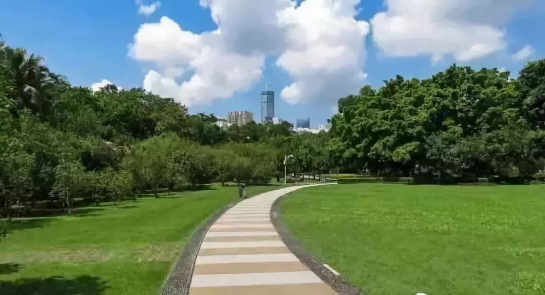 深圳免费景区一览表,深圳国际艺术博览会免费门票