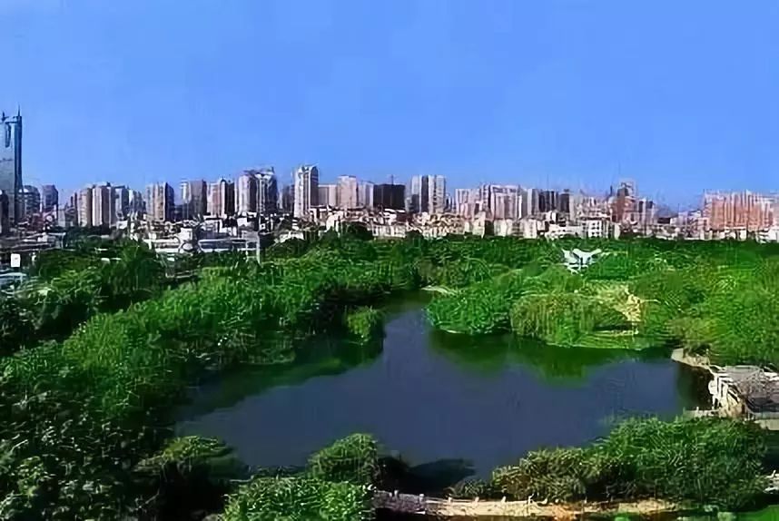 深圳免费景区一览表,深圳国际艺术博览会免费门票