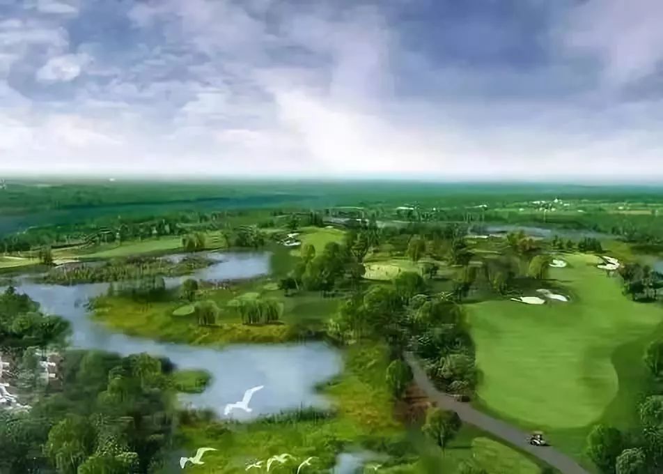 深圳免费景区一览表,深圳国际艺术博览会免费门票