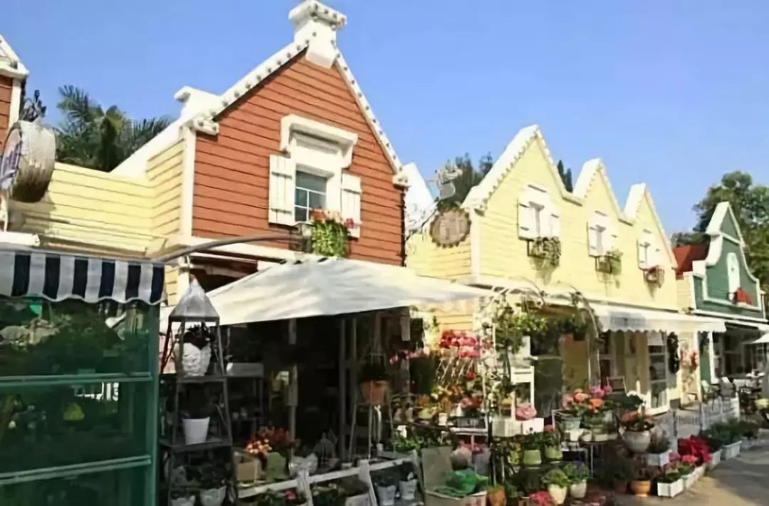 深圳免费景区一览表,深圳国际艺术博览会免费门票