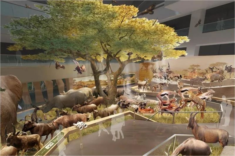 七月武汉游玩攻略,7月适合旅游武汉