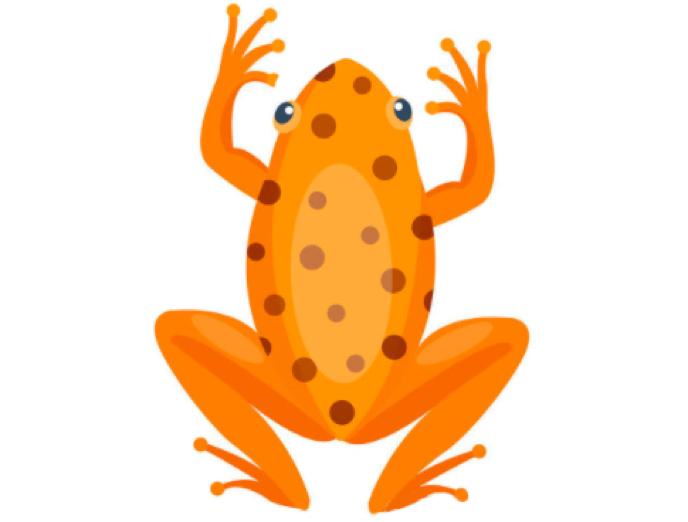 有剧毒的生物,动物界十大毒性杀手