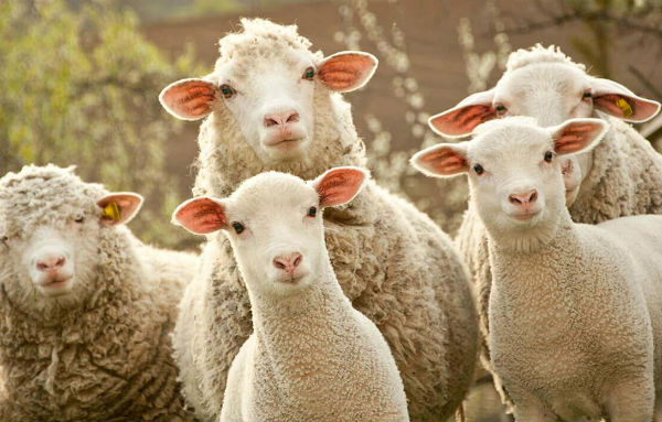 微信背后的秘密的故事,微信未来的9大商机