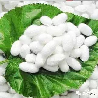 盐城这些镇村成为全国“示范”！特产品牌各不相同，你都了解吗？