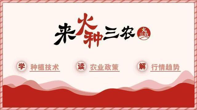 葡萄转色期怎么预防炭疽病,葡萄转色期病害