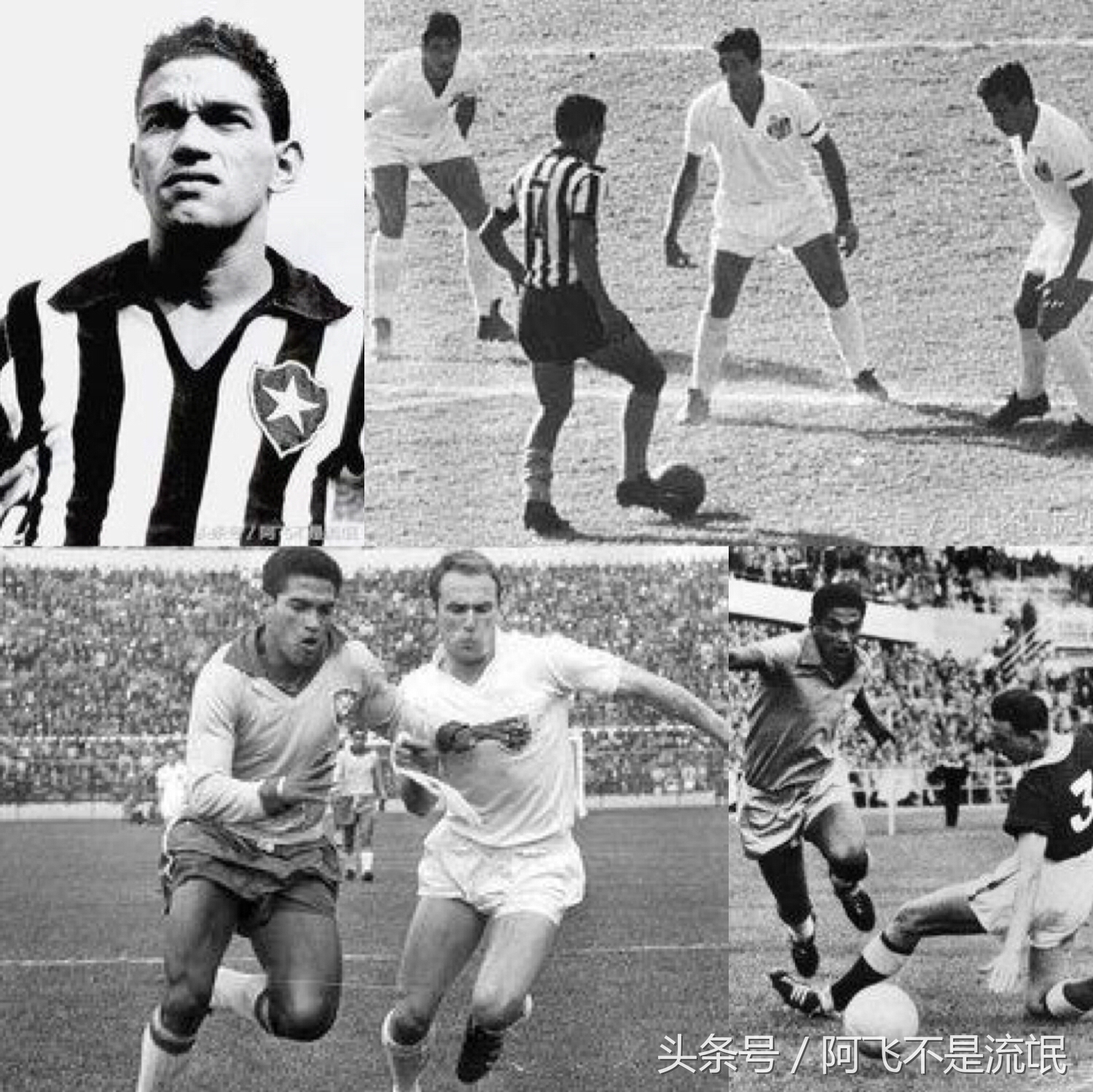 世界足坛著名的7号球员,足坛十大球星绰号