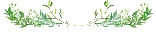 千年山中古村风景,千年香樟百年古村