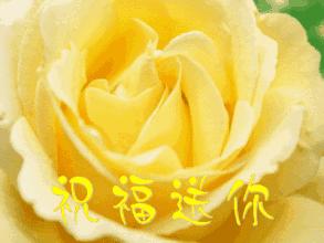 今天7月19，太美了！绝美送给群里好友！看完心情大好~