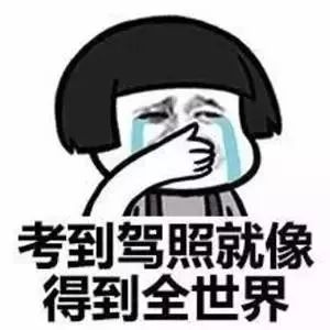 肇庆驾校考驾照严不严,肇庆驾考合格率